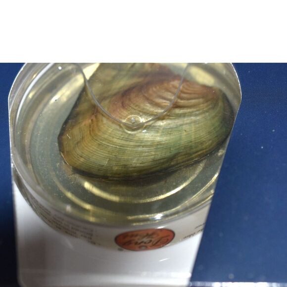 NIP Love Pearl Creations Cancer Zodiac Necklace with Stainless Steel Chain 16" - Picture 6 of 6